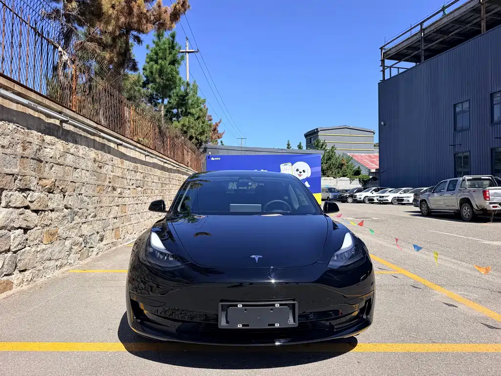 Tesla Model 3 — фото 2
