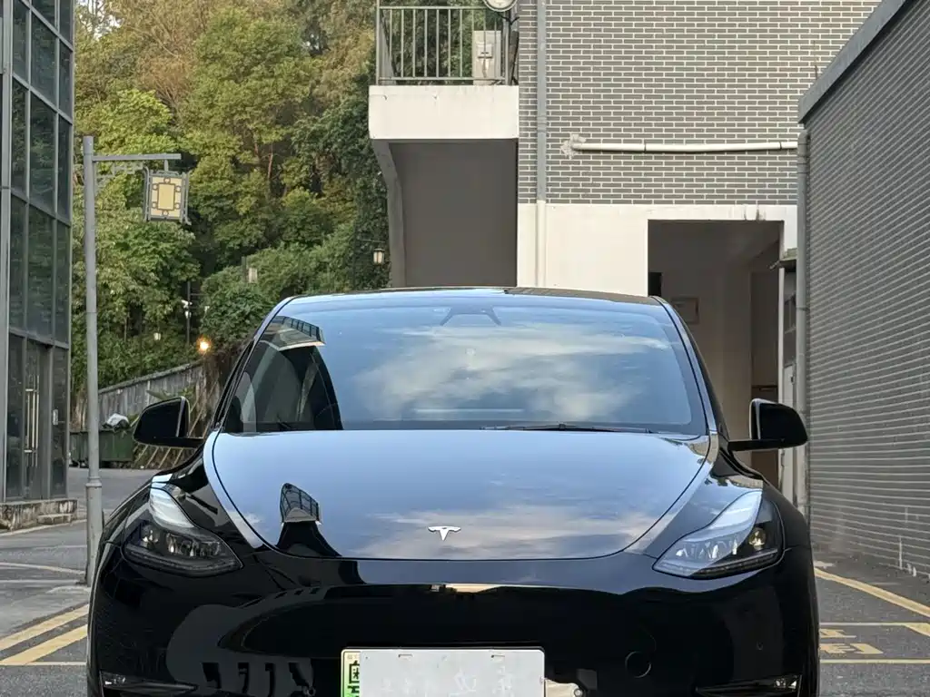 Tesla Model Y — фото 2