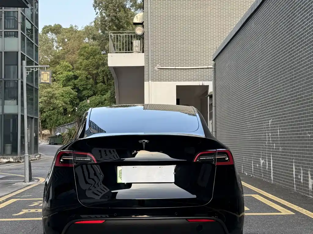Tesla Model Y — фото 11