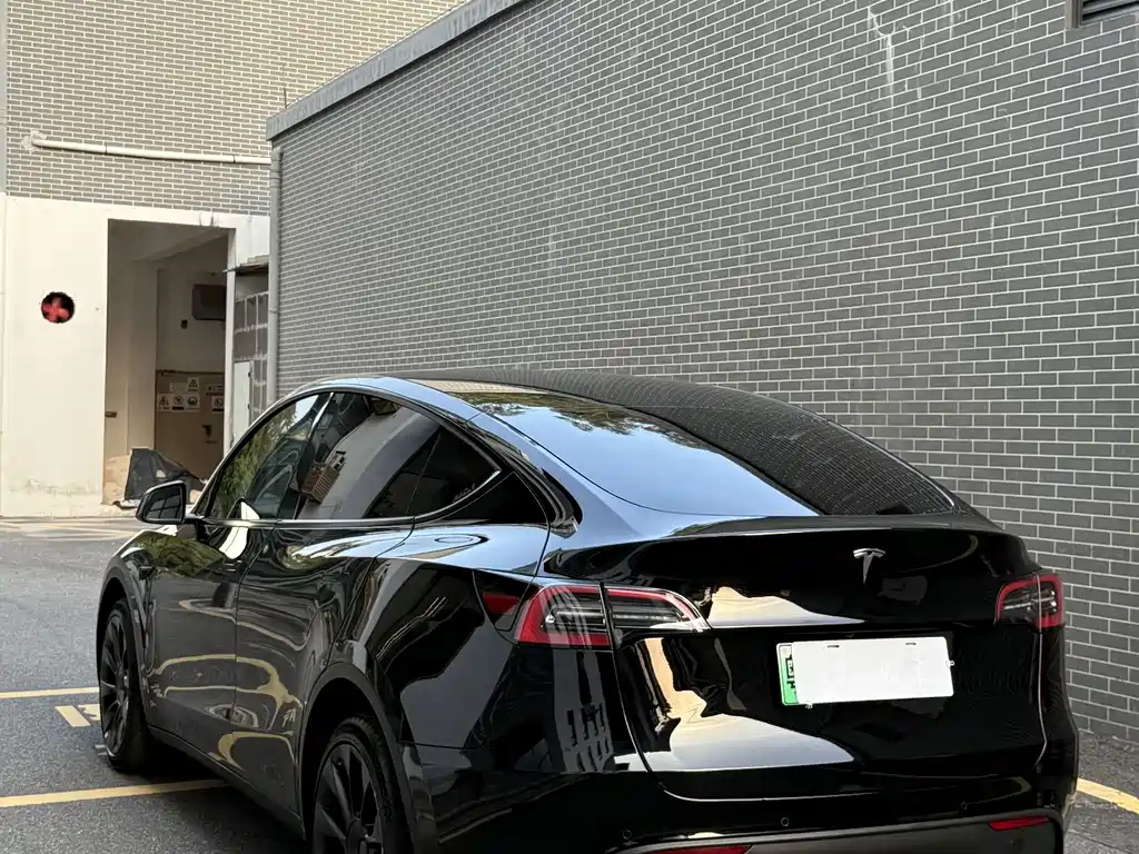 Tesla Model Y — фото 10