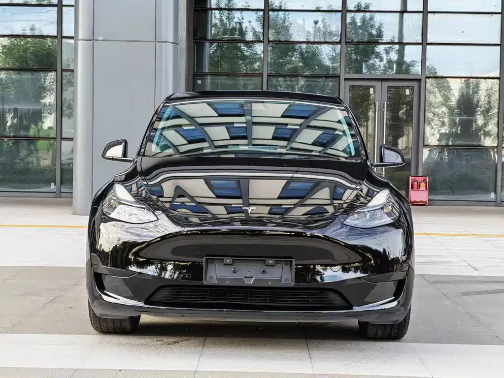 Tesla Model Y — фото 3