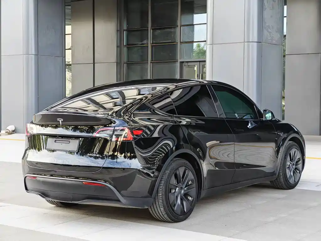 Tesla Model Y — фото 8