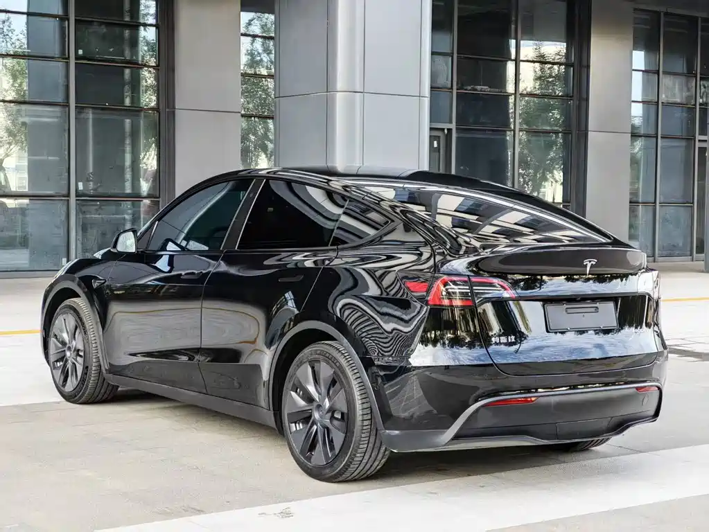 Tesla Model Y — фото 9