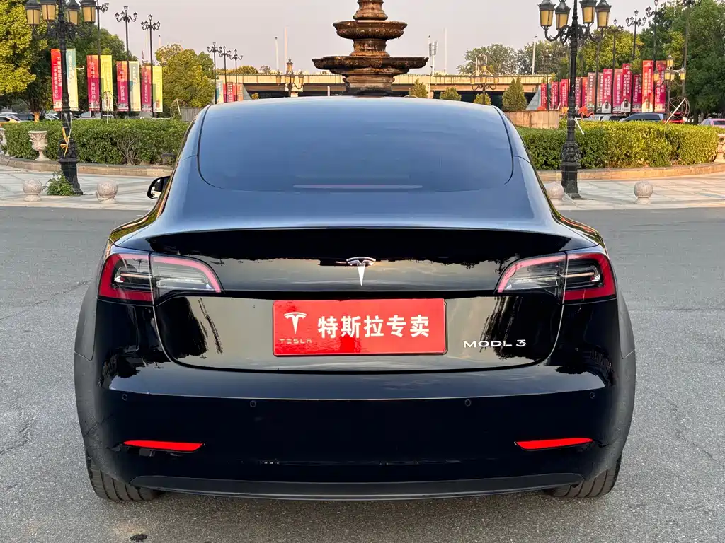 Tesla Model 3 — фото 5