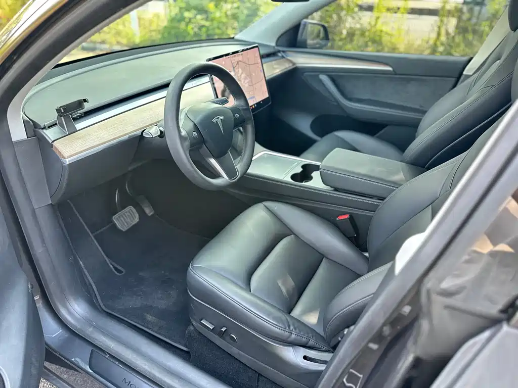 Tesla Model Y — фото 11