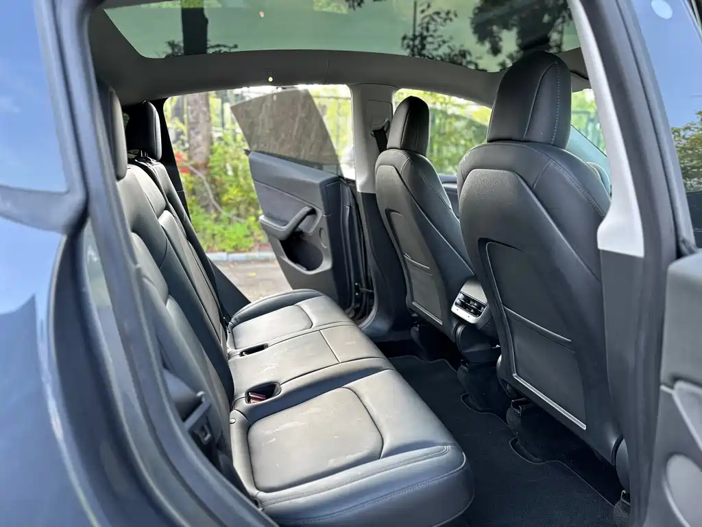 Tesla Model Y — фото 20