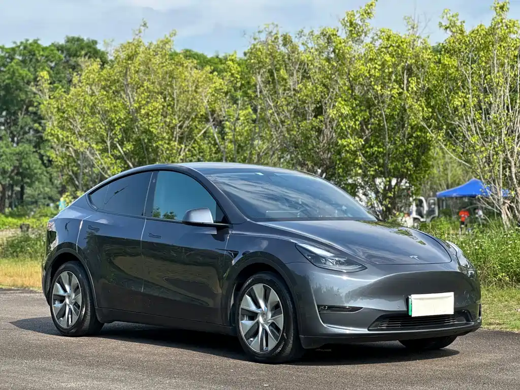 Tesla Model Y — фото 3