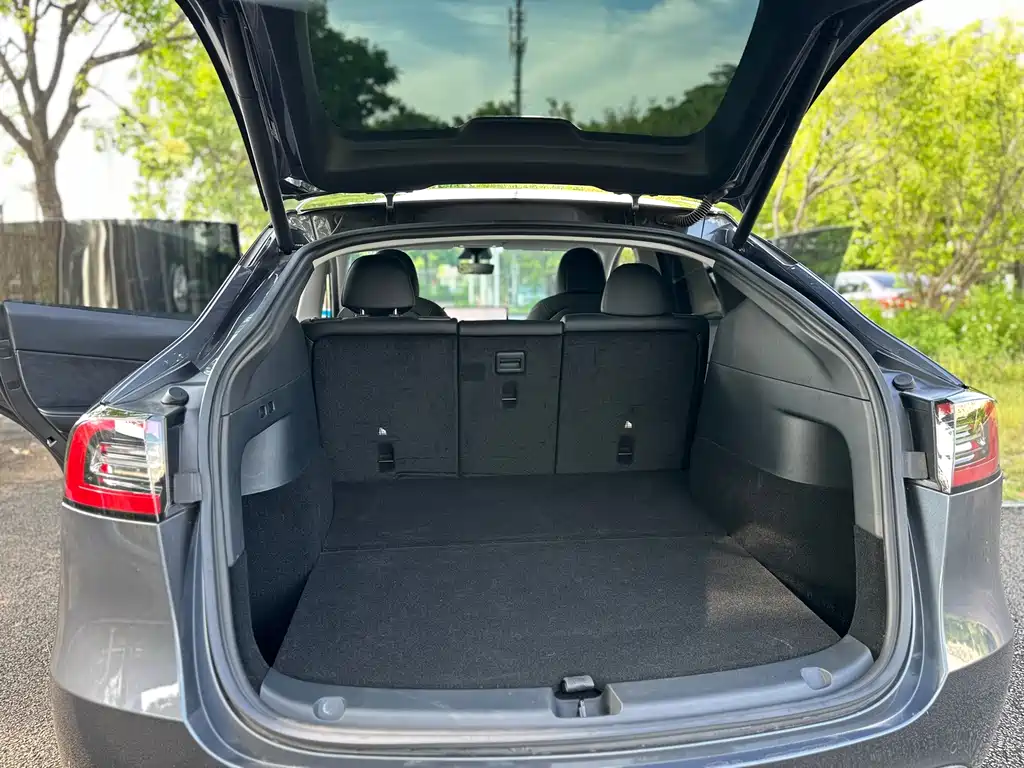 Tesla Model Y — фото 21