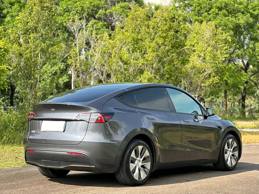 Tesla Model Y — фото 8