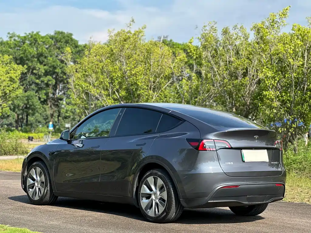 Tesla Model Y — фото 9