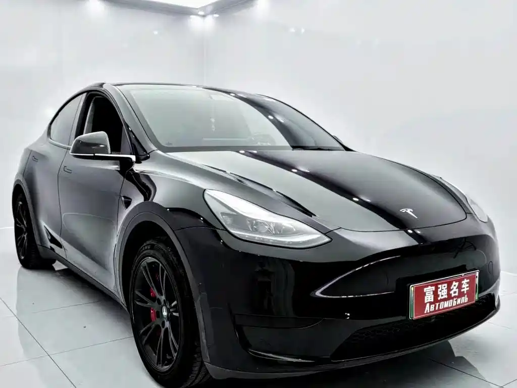 Tesla Model Y — фото 2