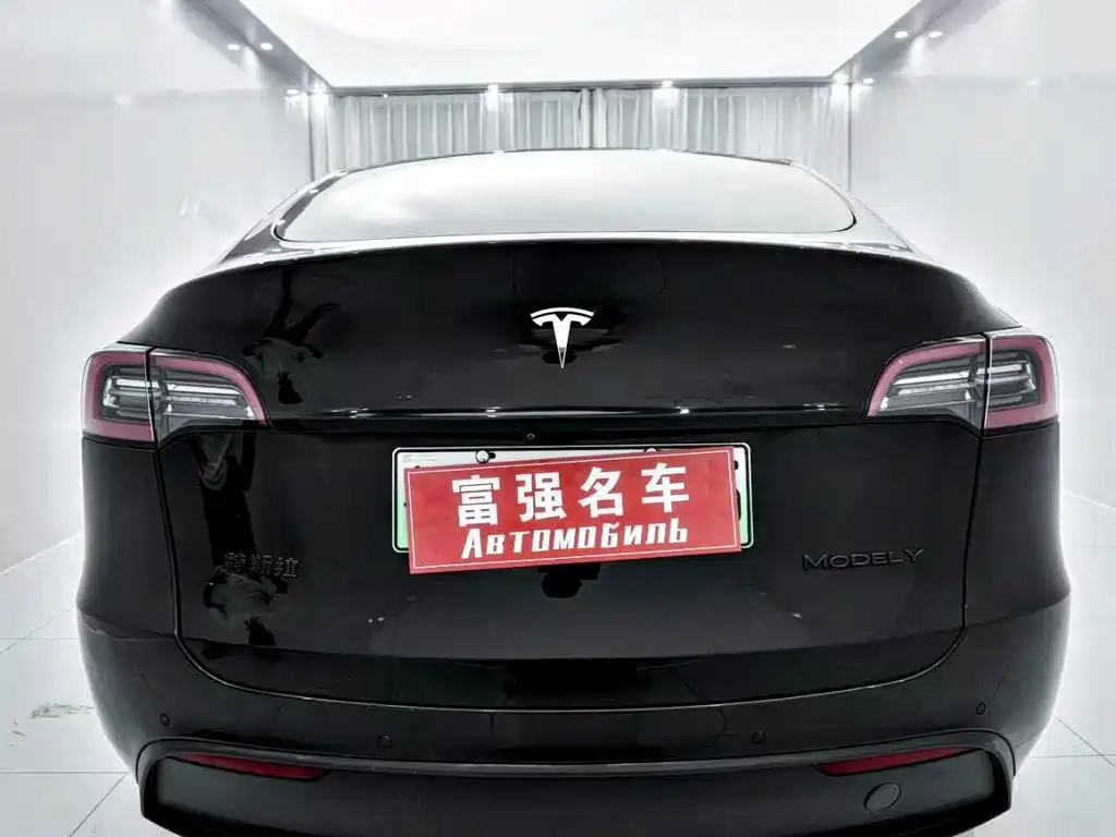 Tesla Model Y — фото 4