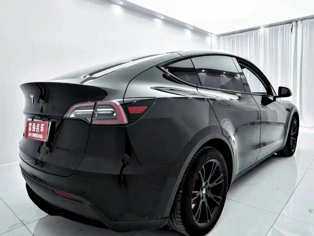 Tesla Model Y — фото 5