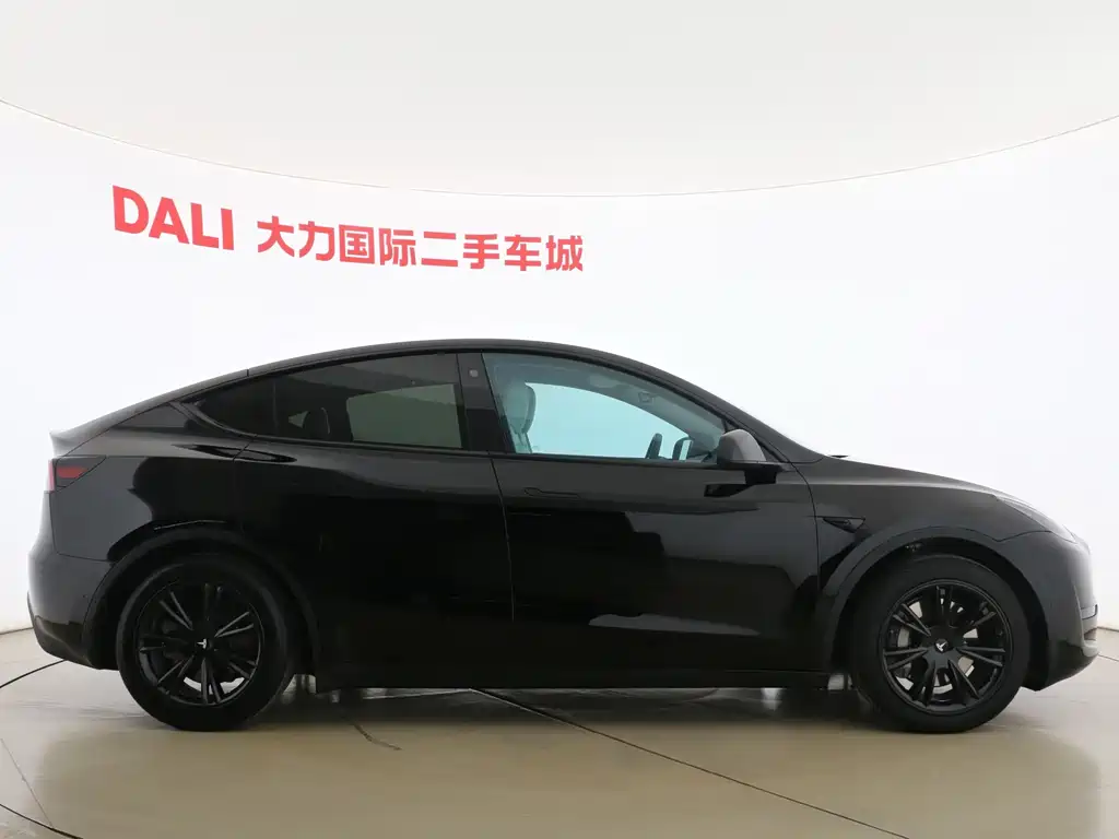 Tesla Model Y — фото 11