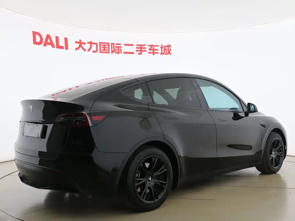 Tesla Model Y — фото 14