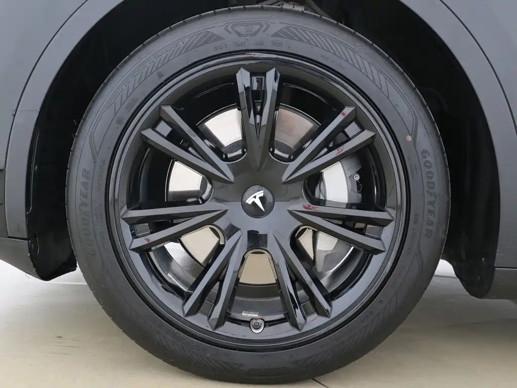 Tesla Model Y — фото 15