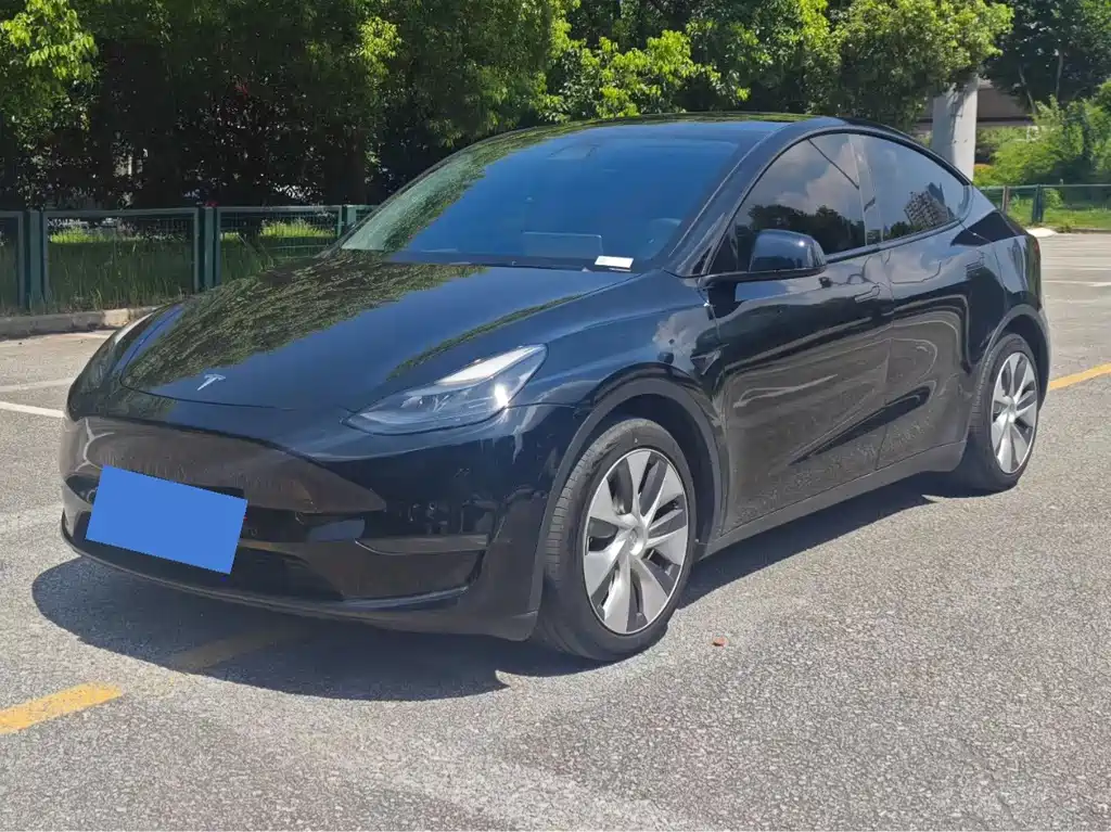 Tesla Model Y — фото 2