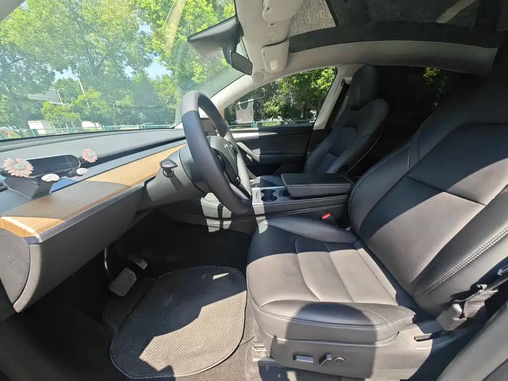 Tesla Model Y — фото 3