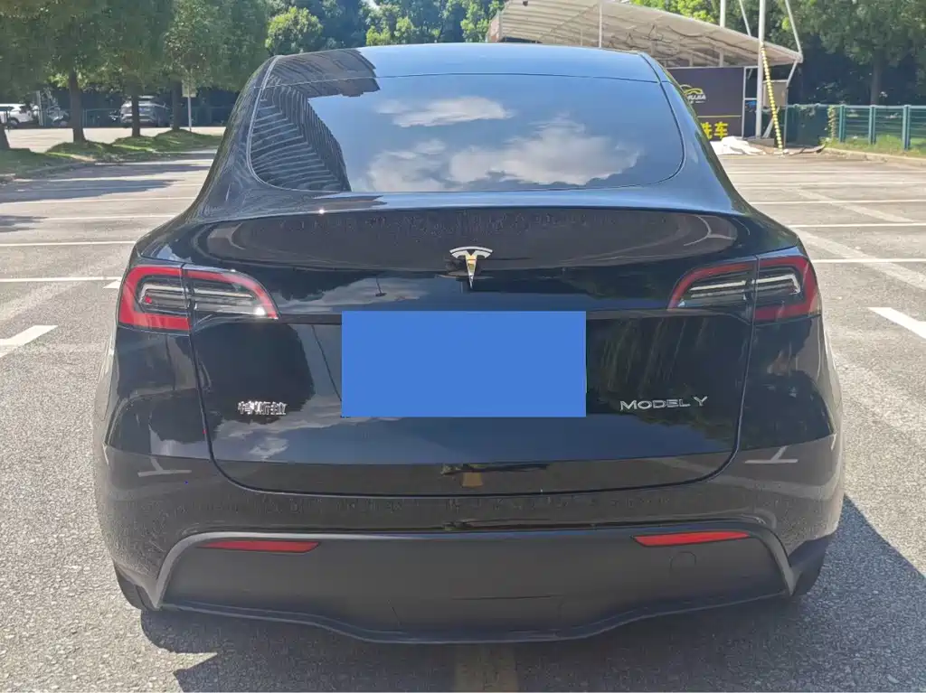 Tesla Model Y — фото 9