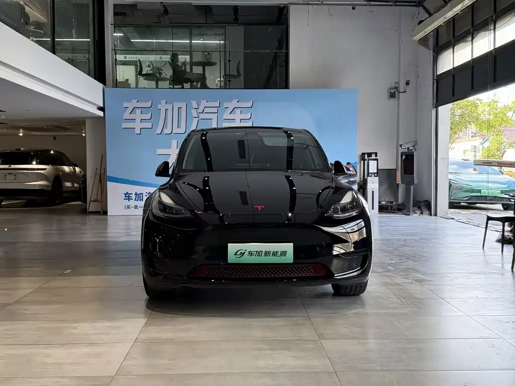 Tesla Model Y — фото 2