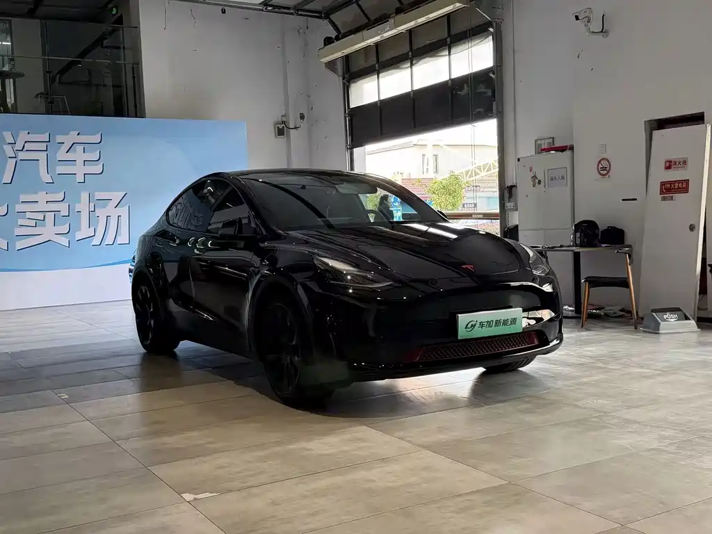 Tesla Model Y — фото 3