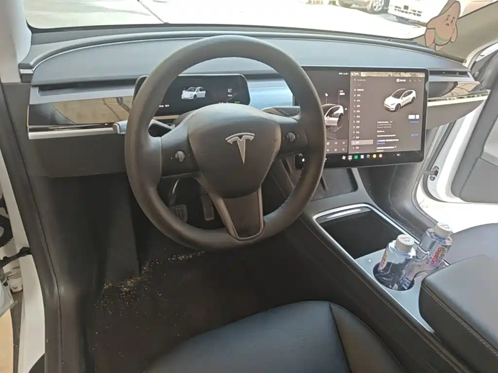 Tesla Model Y — фото 11