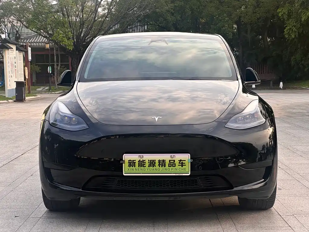 Tesla Model Y — фото 2