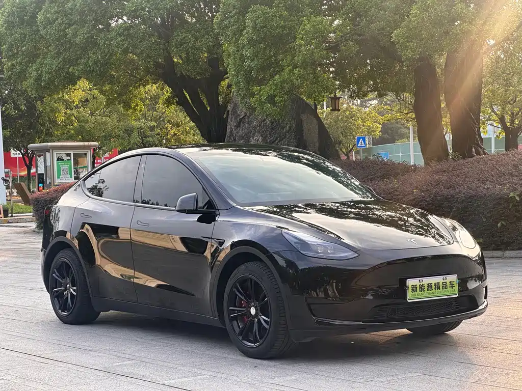 Tesla Model Y — фото 3