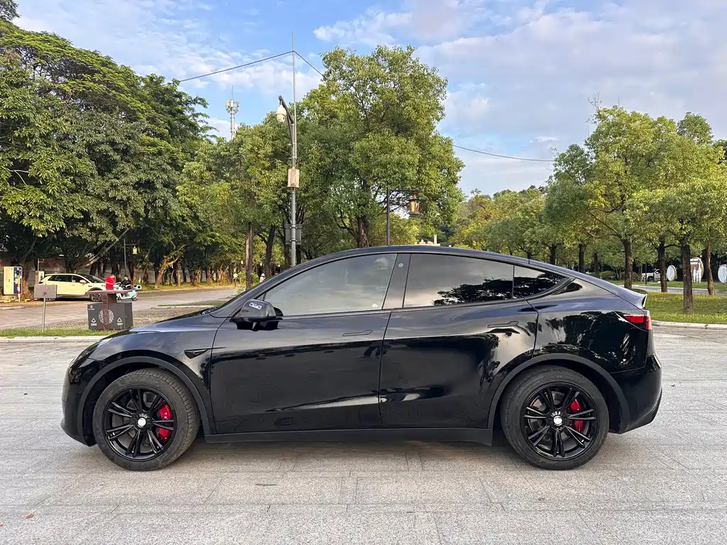 Tesla Model Y — фото 4