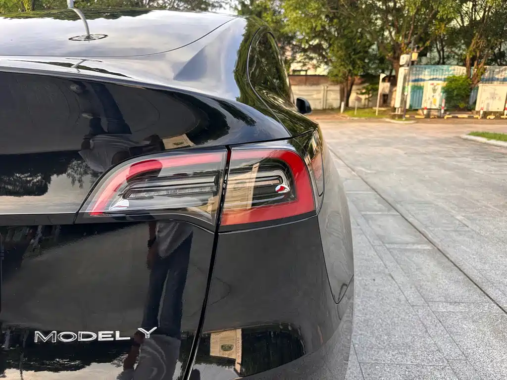 Tesla Model Y — фото 9