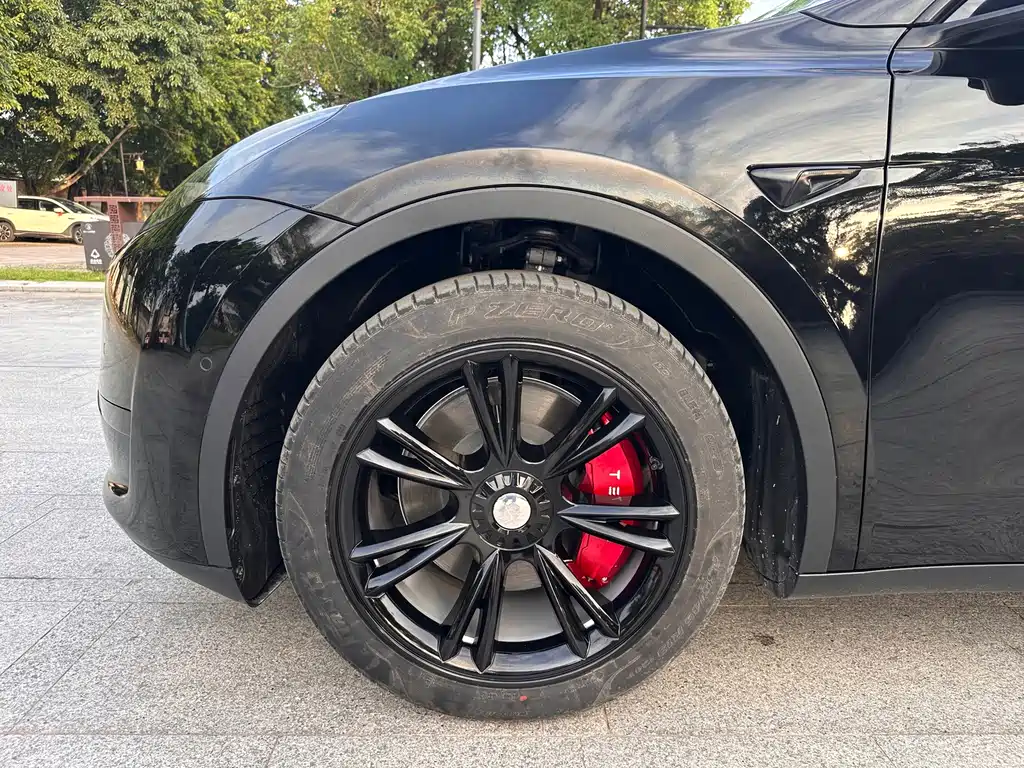 Tesla Model Y — фото 10