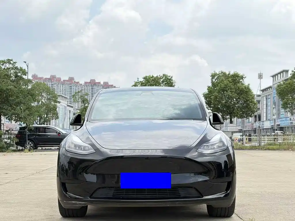 Tesla Model Y — фото 2