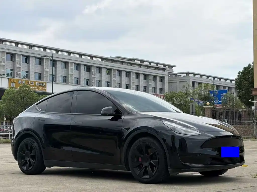 Tesla Model Y — фото 3