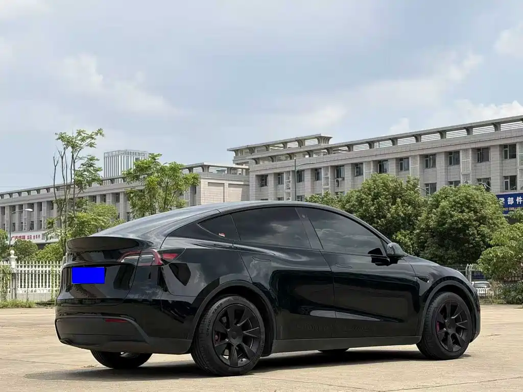 Tesla Model Y — фото 7