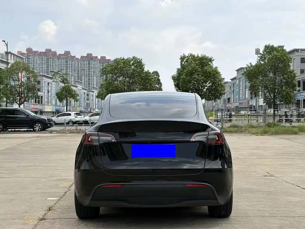 Tesla Model Y — фото 8