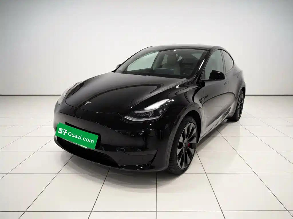 Tesla Model Y — фото 2