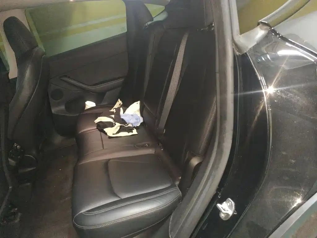 Tesla Model Y — фото 15