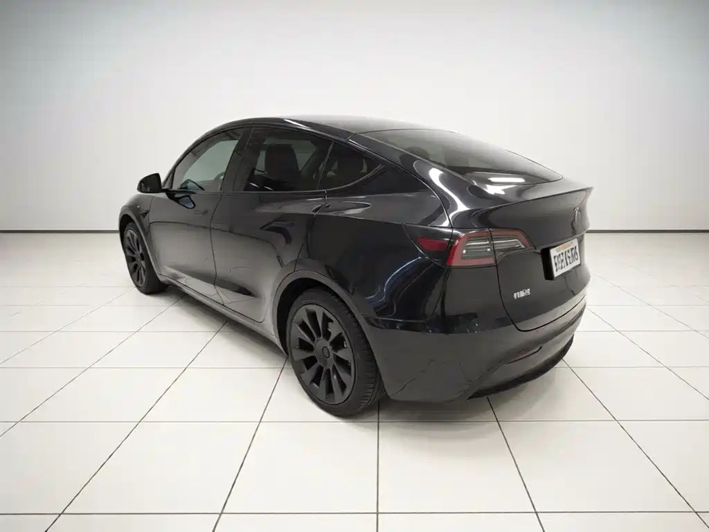 Tesla Model Y — фото 25