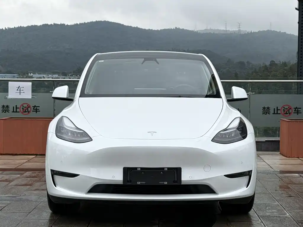 Tesla Model Y — фото 2