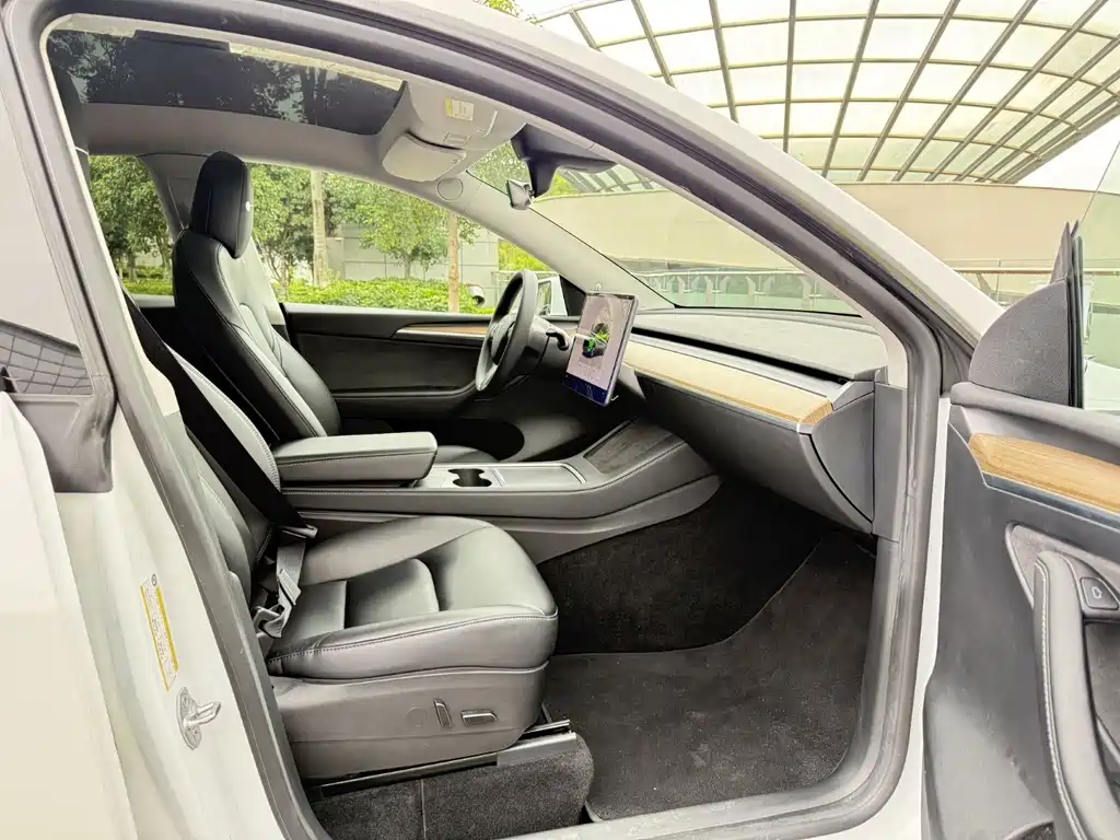 Tesla Model Y — фото 11