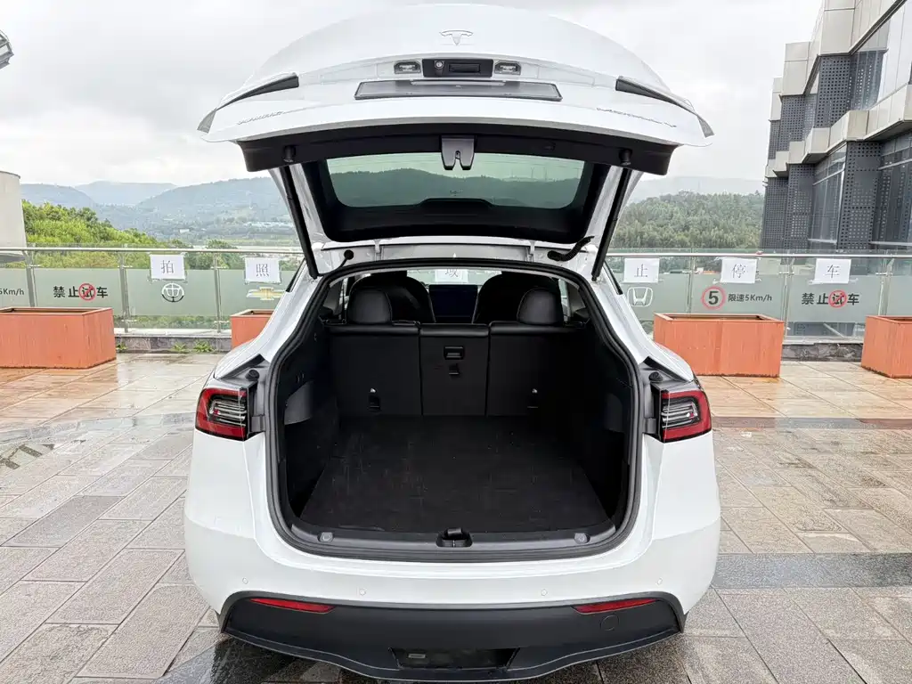 Tesla Model Y — фото 13
