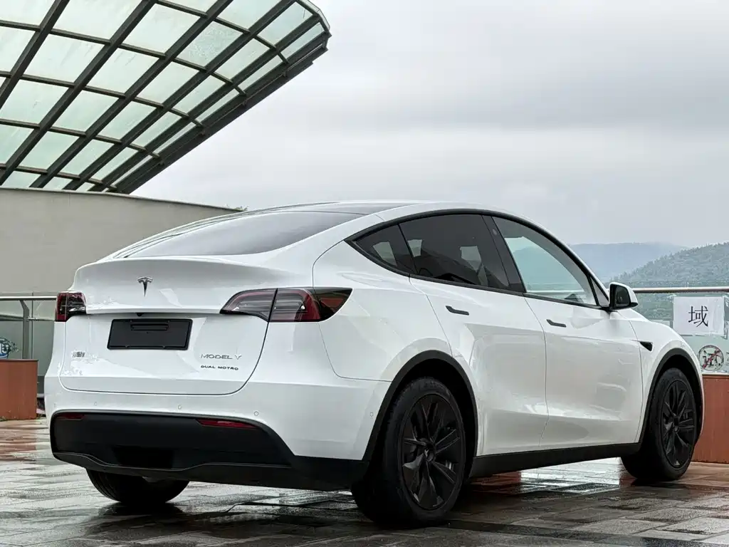 Tesla Model Y — фото 14