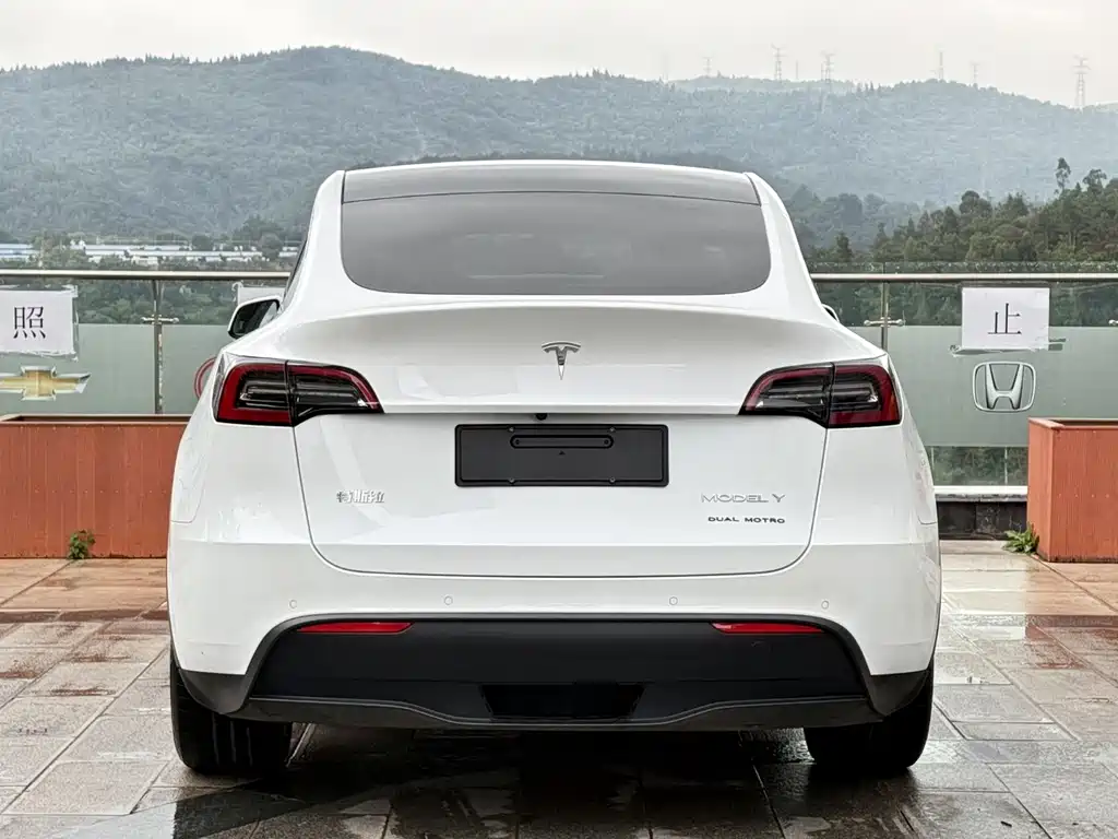 Tesla Model Y — фото 15