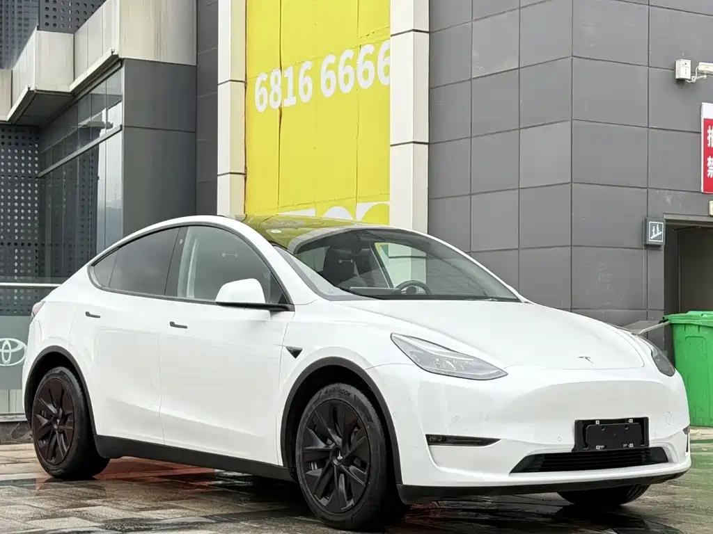 Tesla Model Y — фото 3