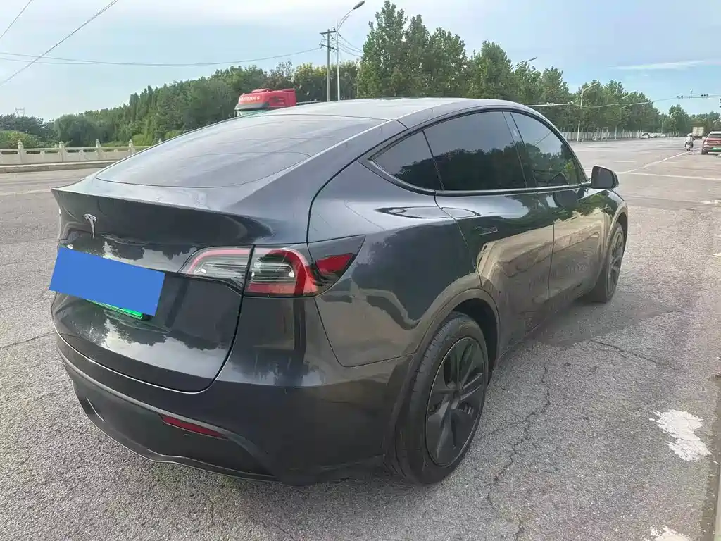 Tesla Model Y — фото 2