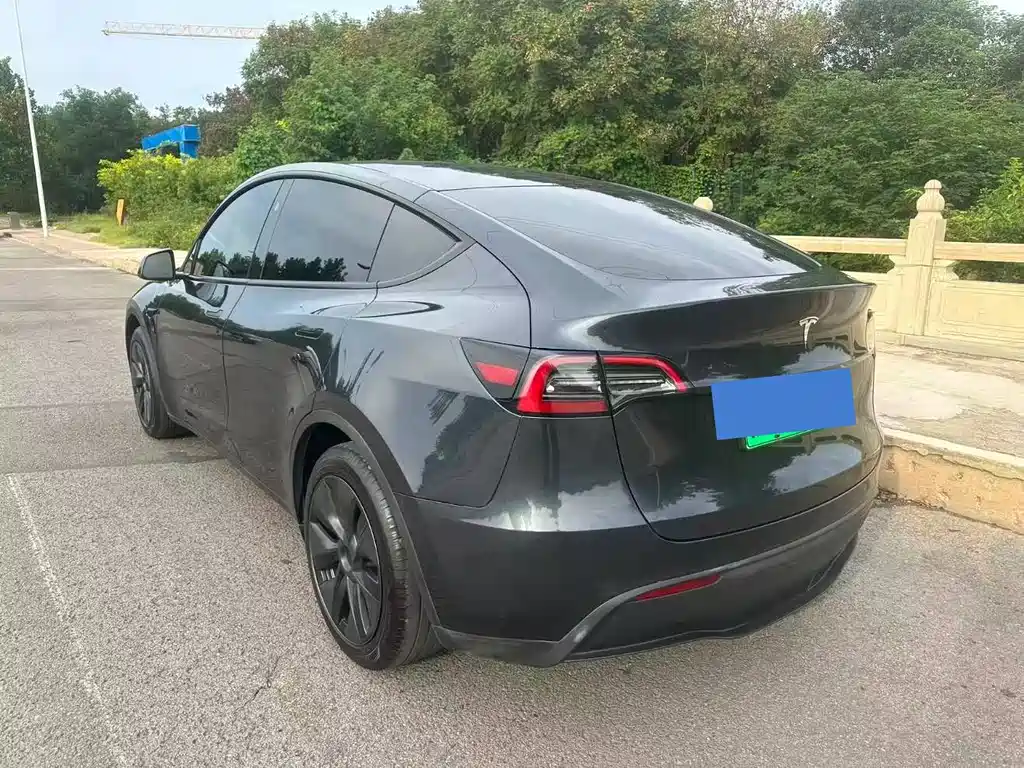 Tesla Model Y — фото 3