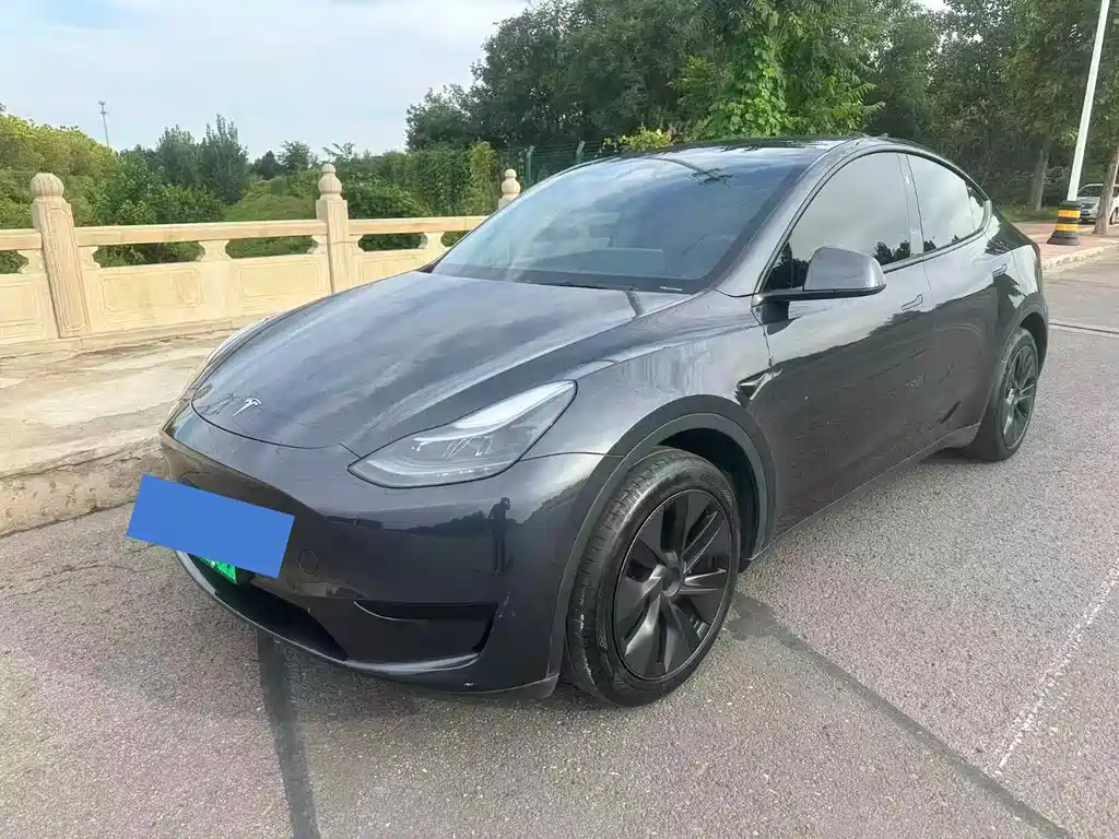 Tesla Model Y — фото 6