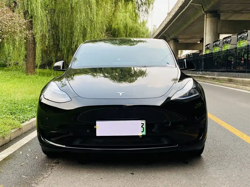 Tesla Model Y — фото 2