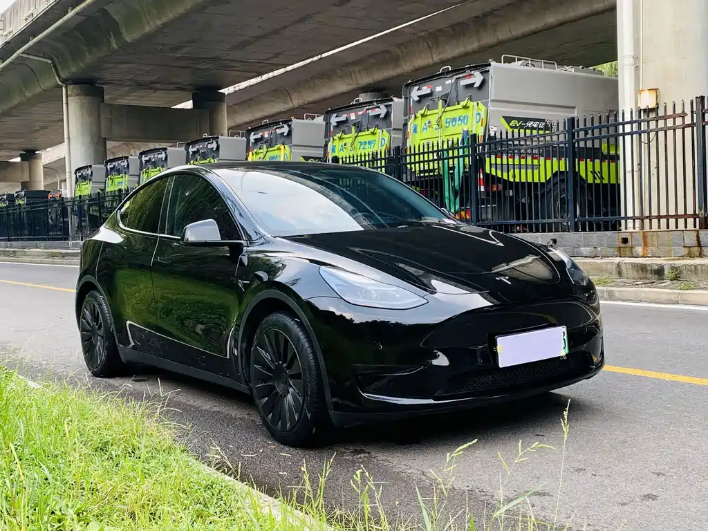 Tesla Model Y — фото 11