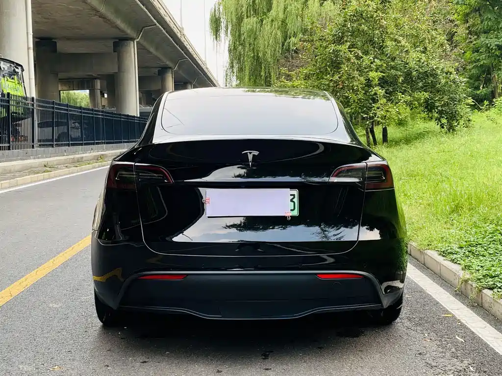 Tesla Model Y — фото 15